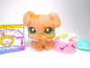 Littlest Pet Shop Brown Boxer Puppy Dog #1353 with cute accessories authentic