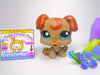 Littlest Pet Shop Rare Brown Boxer Puppy Dog #1197 & cute accessories authentic