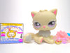 Littlest Pet Shop Rare Grey Flower Persian Cat #609 & accessories authentic