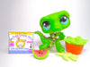 Littlest Pet Shop Green Alligator Crocodile #987 & cute accessories authentic