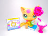Littlest Pet Shop Sitting Post Card Cat #1231 with accessories Authentic