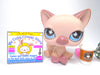 Littlest Pet Shop Sitting Snowy Cat #664 with accessories Authentic
