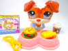 Littlest Pet Shop Rare Brown White Jack Russel Dog #2401 & accessories Authentic