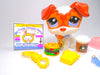 Littlest Pet Shop Rare Brown White Jack Russel Dog #2401 & accessories Authentic
