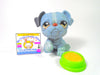 Littlest Pet Shop Blue Bulldog #667 with cute accessories authentic