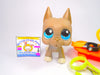 Littlest Pet Shop Grey Great Dane #184 with accessories Authentic