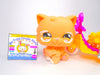 Littlest Pet Shop Orange Persian Cat #490 with cute accessories authentic