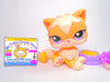 Littlest Pet Shop Rare Peach Cream Persian Cat #1657 with accessories authentic