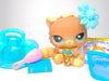 Littlest Pet Shop Rare Brown Persian Cat #1063 with cute accessories authentic