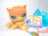 Littlest Pet Shop Rare Brown Persian Cat #1063 with cute accessories authentic