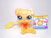 Littlest Pet Shop Cream White Boxer Puppy Dog #1706 & cute accessories authentic