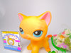 Littlest Pet Shop Short Hair Cat Brooke #339 with cute accessories authentic
