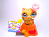 Littlest Pet Shop Brown Tan Blue Eyes Raccoon #1682 & cute accessories authentic