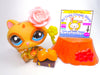 Littlest Pet Shop Brown Tan Blue Eyes Raccoon #1682 & cute accessories authentic