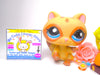 Littlest Pet Shop Brown Tan Blue Eyes Raccoon #1682 & cute accessories authentic