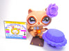 Littlest Pet Shop Brown Tan Blue Eyes Raccoon #1348 & cute accessories authentic