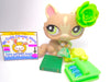 Littlest Pet Shop Grey Crouching Cat #1370 #1505 with accessories authentic