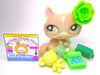 Littlest Pet Shop Grey Crouching Cat #1370 #1505 with accessories authentic