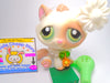 Littlest Pet Shop White Tabby BonBon Sitting Cat #197 with accessories authentic