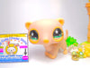 Littlest Pet Shop Rare Green Eye Tan Ferret #957 & cute accessories authentic