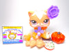 Littlest Pet Shop Rare Peach Cream Persian Cat #1657 with accessories authentic