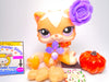 Littlest Pet Shop Rare Peach Cream Persian Cat #1657 with accessories authentic