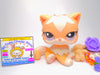 Littlest Pet Shop Rare Peach Cream Persian Cat #1657 with accessories authentic