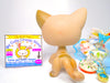 Littlest Pet Shop Grey Short Hair Cat #468 & cute accessories Authentic Blemish