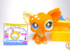 Littlest Pet Shop Rare Brown Chihuahua Dog #731 with cute accessories authentic