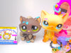 Littlest Pet Shop Messy Short Hair Cat #815 Tabby #816 & accessories authentic