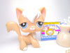 Littlest Pet Shop Rare Cream White Angora Cat #1047 & cute accessories Authentic