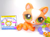Littlest Pet Shop Rare Orange White Crouching Cat #1868 & accessories Authentic