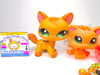 Littlest Pet Shop Rare Brown Walking Cat #1174 Kitten #2020 Authentic