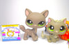 Littlest Pet Shop Rare Grey Walking Cat #1059 Kitten #1035 Accessories Authentic