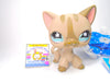 Littlest Pet Shop Grey Blue Eye Short Hair Cat #468 & accessories Authentic