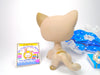 Littlest Pet Shop Grey Blue Eye Short Hair Cat #468 & accessories Authentic