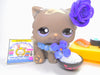 Littlest Pet Shop Grey Persian Cat #973 with cute accessories Authentic