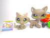 Littlest Pet Shop Rare Walking Cat #1059 Kitten #1035 & accessories Authentic