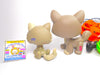 Littlest Pet Shop Rare Walking Cat #1059 Kitten #1035 & accessories Authentic
