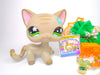 Littlest Pet Shop Grey Short Hair Cat #483 with cute accessories Authentic