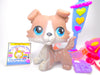 Littlest Pet Shop Grey Collie dog # 67 . Authentic with cute accessories