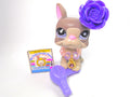 Littlest Pet Shop Grey Boston Terrier Dog #958 & cute accessories Authentic