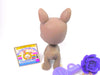 Littlest Pet Shop Grey Boston Terrier Dog #958 & cute accessories Authentic