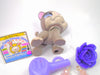Littlest Pet Shop Grey Boston Terrier Dog #958 & cute accessories Authentic