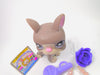 Littlest Pet Shop Grey Boston Terrier Dog #958 & cute accessories Authentic