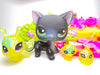 Littlest Pet Shop Rare Black Short Hair Cat #336 & cute accessories Authentic