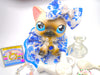 Littlest Pet Shop Siamese Short Hair Cat #5 & cute accessories Authentic