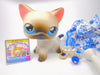 Littlest Pet Shop Siamese Short Hair Cat #5 & cute accessories Authentic