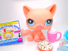 Littlest Pet Shop Pink sitting cat #959 & cute accessories Authentic