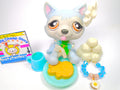 Littlest Pet Shop Rare Blue Sitting Husky Dog #1046 & cute accessories Authentic